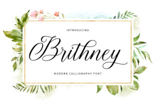 Brithney Font Review for Web Design