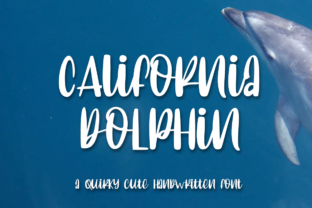 California Dolphin Font for Friendly Branding