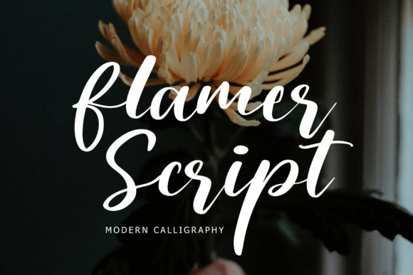 Flamer Script: A Bold Typeface for Modern Campaigns