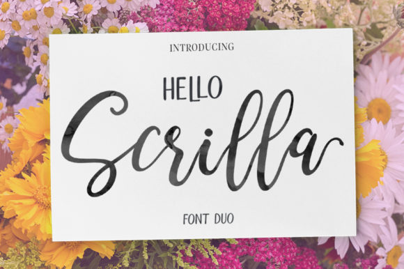 Hello Scrilla Script Font for Web Design