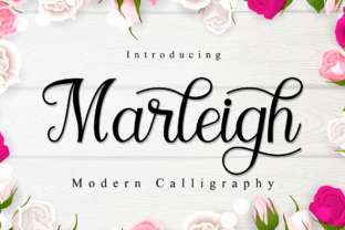 Marleigh Font: A Friendly Script for Modern Web Design