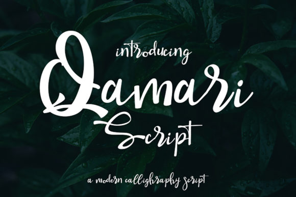 Qamari Script: A Typeface for Elegant Web Design