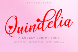 Quindelia: A Friendly Script Font for Small Business Branding